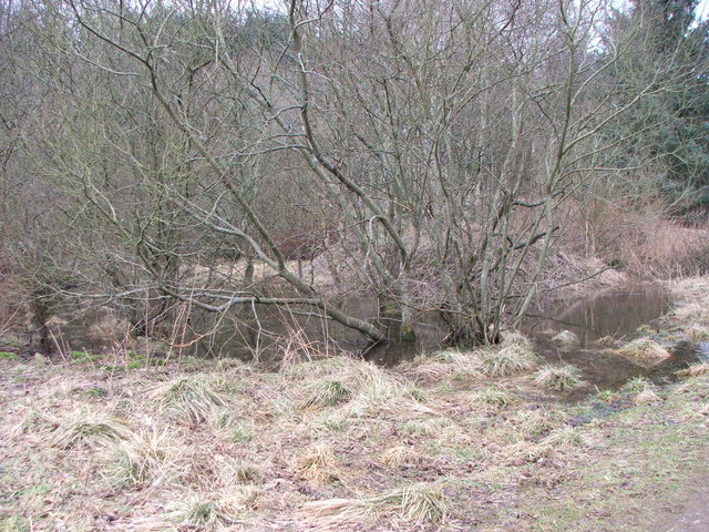 Flooded Quarry Area in Pitcaple Woods