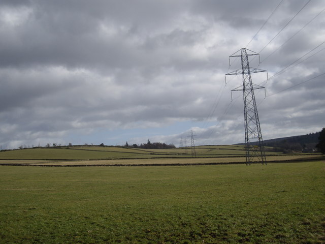 View ESE from end of track from Claydykes