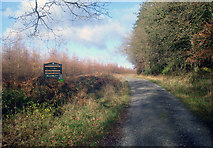 SO4365 : Entering Croft Wood by Trevor Rickard
