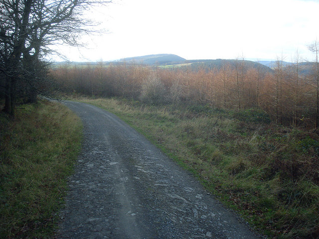 Track at Common Wood