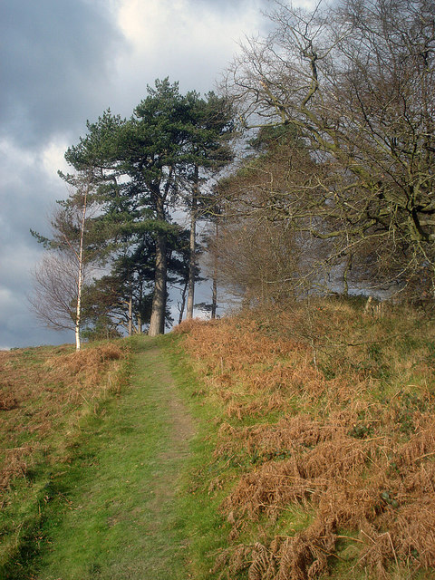 Path to the Croft Ambrey ridge