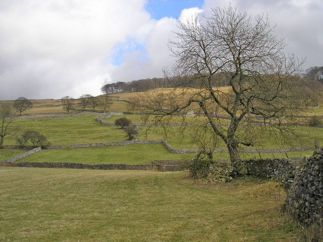 Walls near Langcliffe