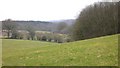 Field by Durrants Knob