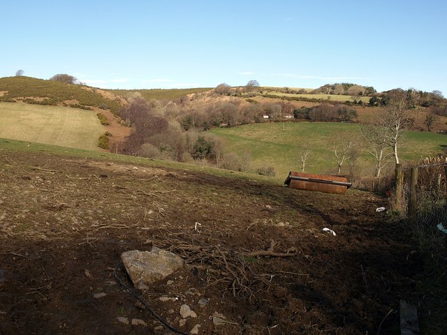Field above Great Combe