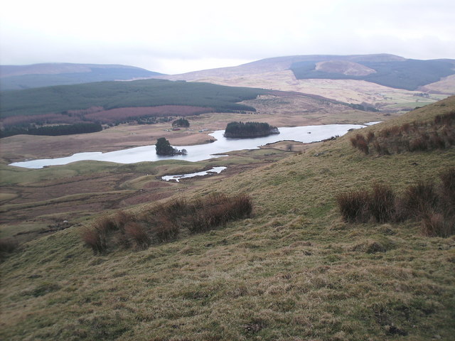Eastern slope of the Fintry Hills