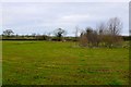 Farmland near Longburton