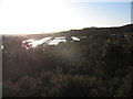 Precipitation pools below Mynydd Parys