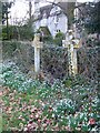 Crosses, St John the Baptist Church, Woodsford