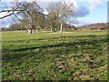 Bridleway to Puddletown