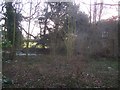 Derelict House and snowdrops