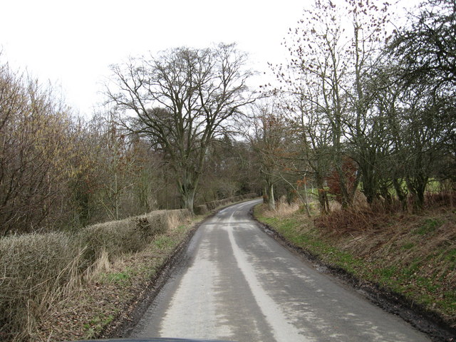 Country road heading towards Riddell Farm