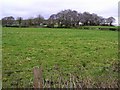 Killybrack Townland