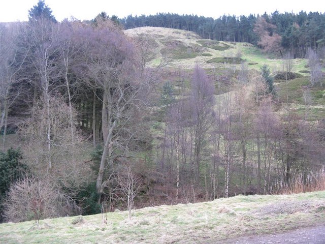 White Hill from Bonaly