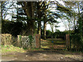 Locked gates, Hardwick Manor