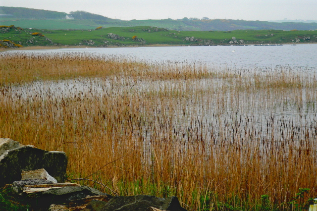 Dunfanaghy - Lake along N56 SW of town centre