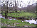 Meanders in the Nant Cledlyn