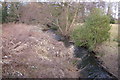 View of Kettins Burn looking downstream