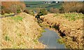 Disused Newry Canal near Goraghwood