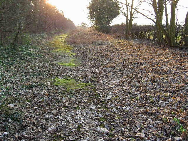 The disused Plantation Lane