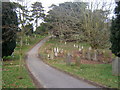 Woodbridge cemetery