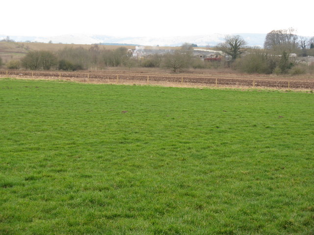 Green field , brown field © Dave Spicer :: Geograph Britain and Ireland