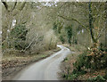 2009 : Quiet lane near Pitter