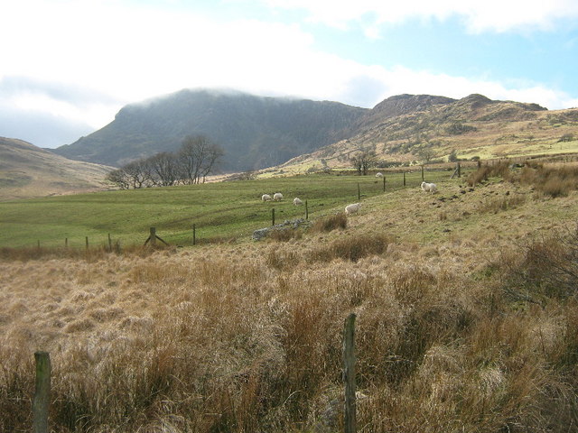 Rough grazing, looking towards Mynydd Moel