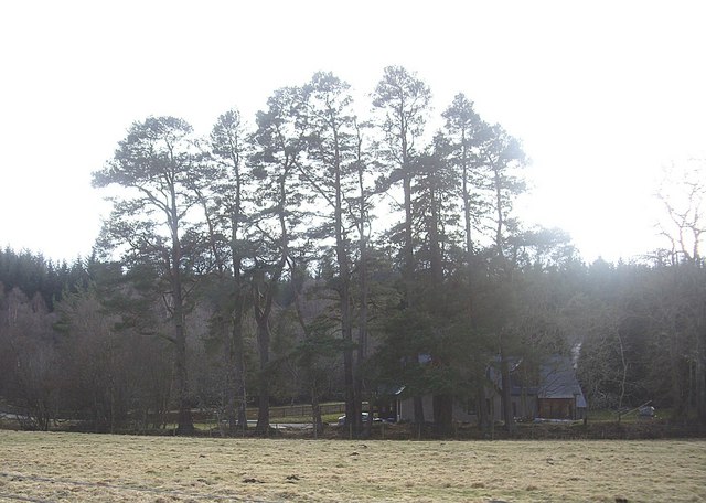Cottages between Bogloch Burn and A93