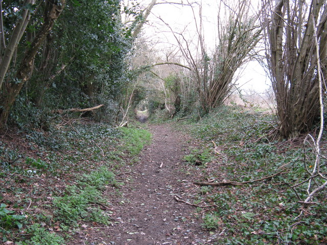 Footpath to the south of golf course