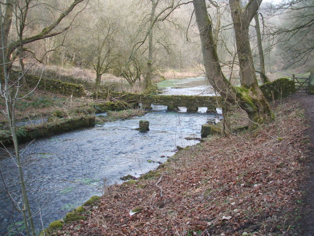River Bradford in late winter