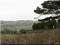 The hamlet of Llaneuddog from the Cochwillan road