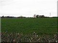 Countryside at Tabley Hill