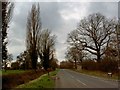 Broad Lane postbox and bus stop