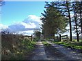 Track to Blaen-bi-newydd, Cynwyl Elfed