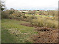 Hillside view up the valley from footpath to Roper