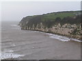 Chalk Cliffs West of Beer