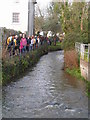 Duck Race, River Lim (3)