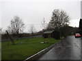 Country road and drying greens