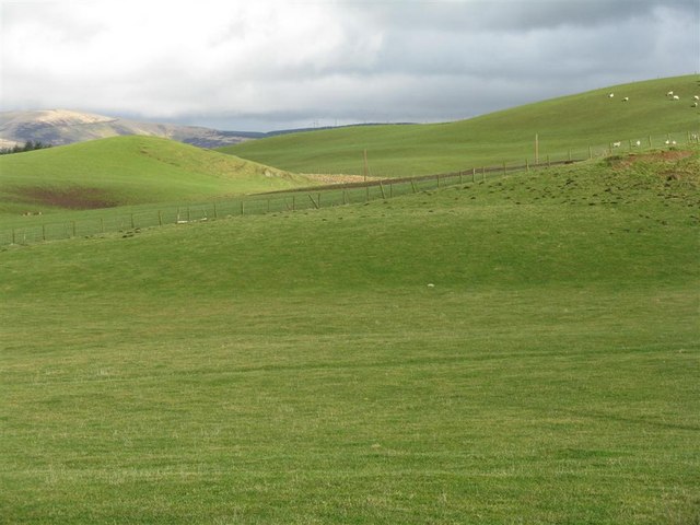 Pastures near Cringletie