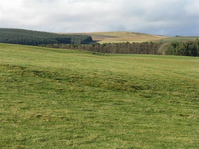 Forestry and farmland near Stewarton