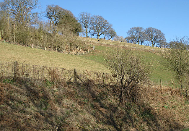 Rattle Hill