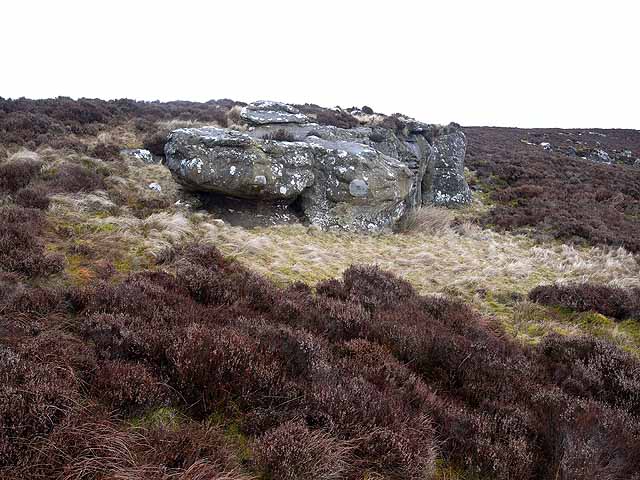Rock outcrop on Long Crag