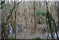 Unnamed stream in the woods by Home Farm Lane, North Farm Estate