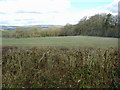 Field near Ty-rhos, Eglwysnewydd