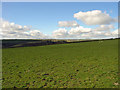 Fields and clouds: Castell Dwyran, Aber-nant