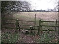 Stile & footpath off Ashotts Lane