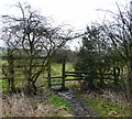 Footpath off Matley Lane