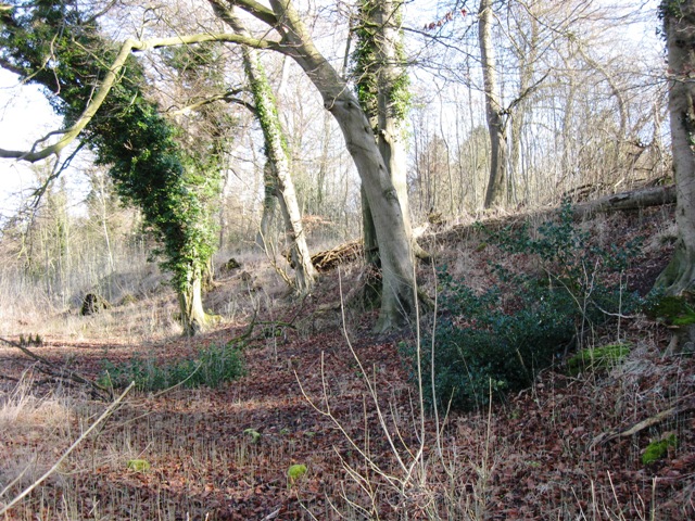 The West End of Boddington Banks