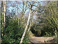 Footpath, Rushmere St. Andrew