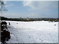 Brent Valley golf course (snow scene)